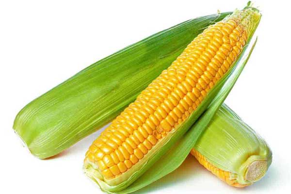 Sweet Corn